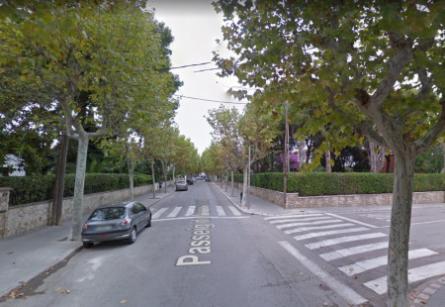 Actuació fitosanitària als plataners Passeig-narcis-bardaji.jpg