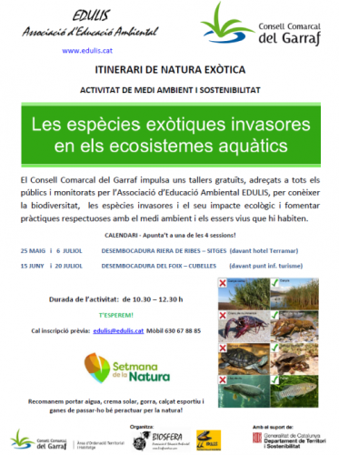 cartell espècies exòtiques.png