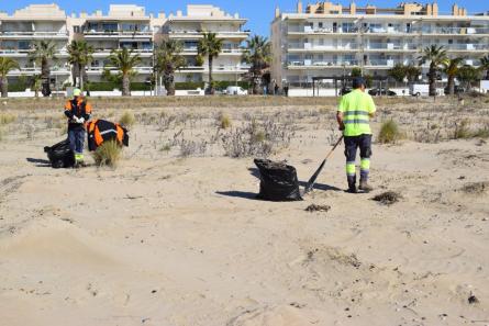 DUNES VEGETACIÓ PLATJA MOTA 2023 MARÇ (17).JPG