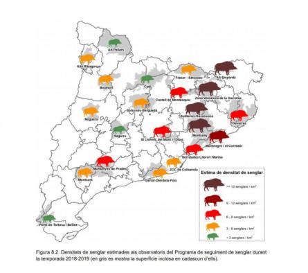 mapa població senglars.JPG