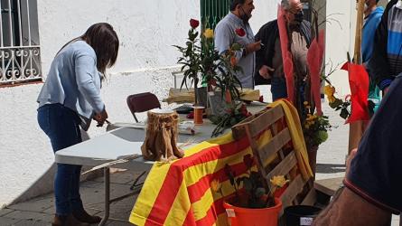 PARADES SANT JORDI 2021 (4).jpeg