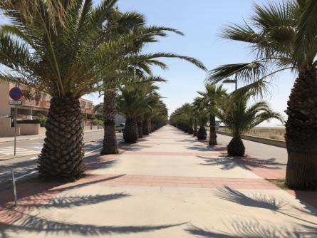 Passeig de la Mar Mediterrania.jpg