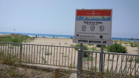 Platja gossos (imatge d'arxiu)