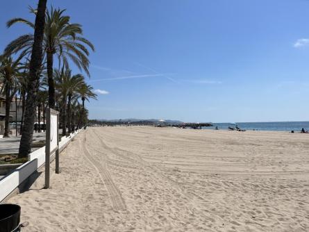 PLATJA LLARGA 2024 (1).JPG