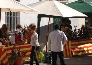 Setmana Cultural-Sant Jordi Cubelles.jpg