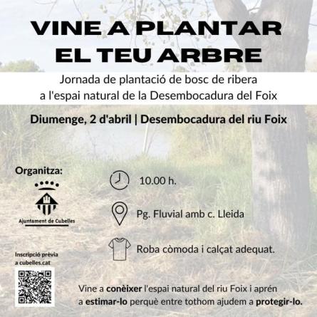 vine-a-plantar-el-teu-arbre.jpg