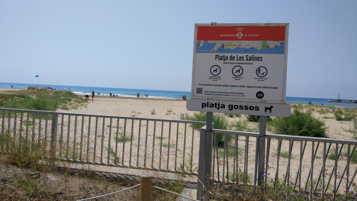 Platja gossos nova